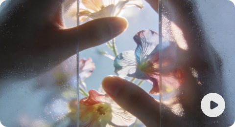 exampleImage1